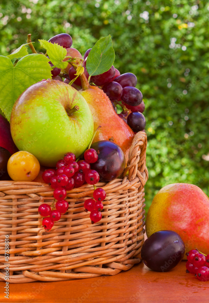 Fresh fruit basket in the summer garden. Fresh fruit basket in the summer garden.