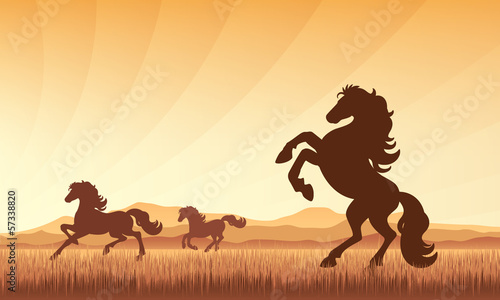 Horses in field on sunset background vector silhouette illustrat