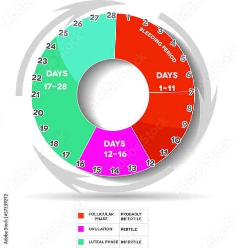 Menstrual cycle- Follicular Ovulation luteal Bleeding days