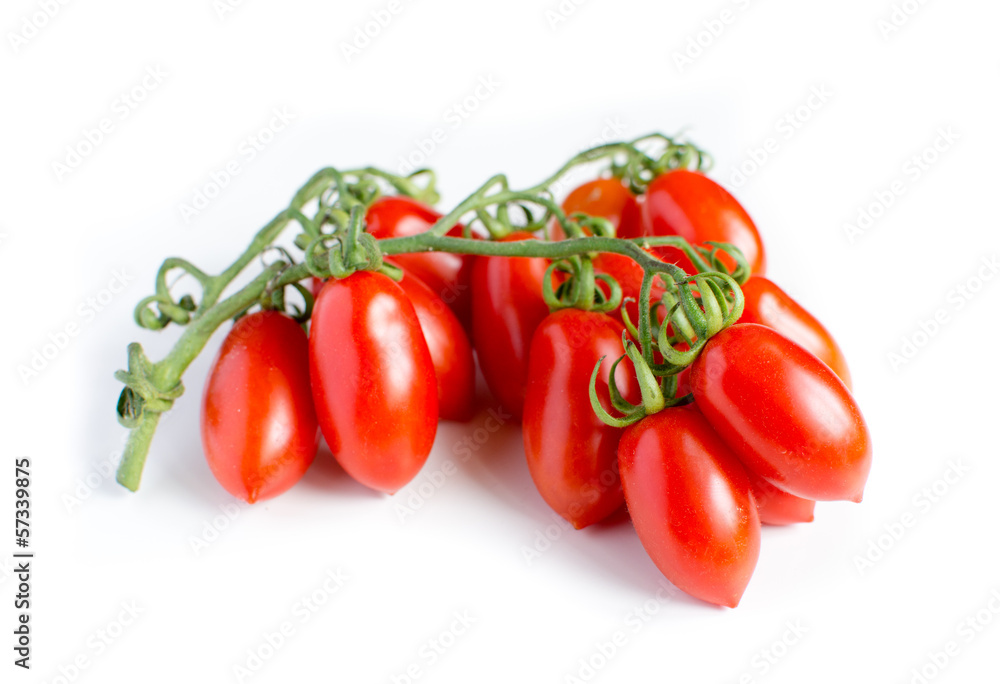 Cherry tomatoes on branch