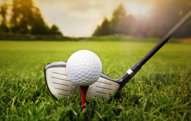 Acrylglasbilder Golf Golfschläger und Ball im Gras  © Mikael Damkier