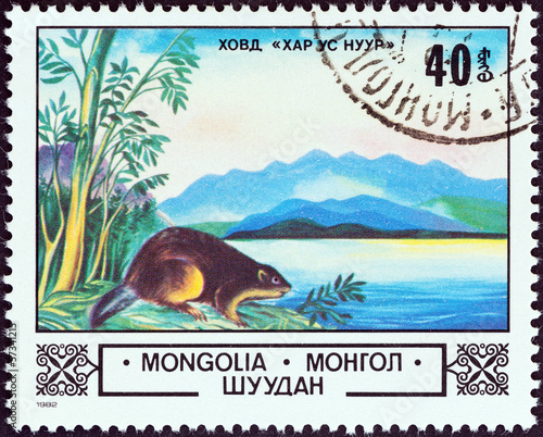 Lake Hovd and Eurasian beaver (Mongolia 1982) photo