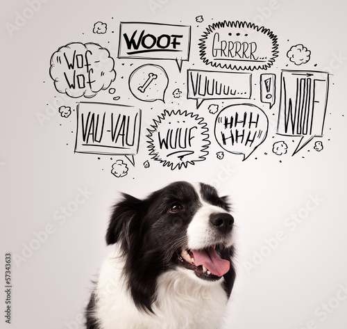 Fototapeta Naklejka Na Ścianę i Meble -  Cute dog with barking bubbles