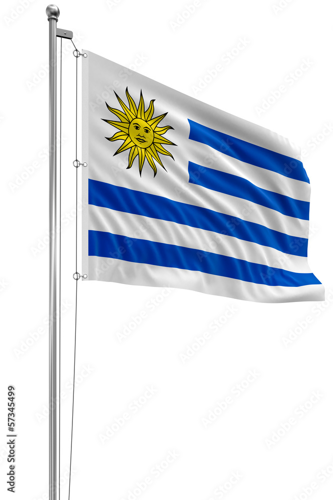 Obraz premium 3D Uruguayan flag