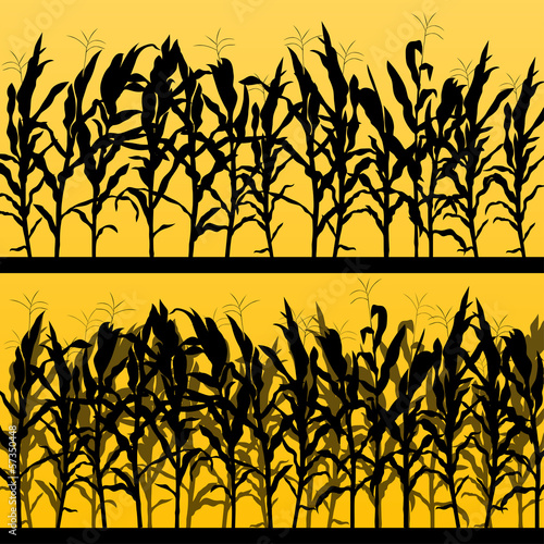 Canvas-taulu Corn field detailed countryside landscape illustration backgroun