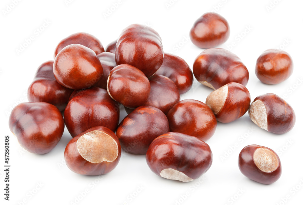 heap of chestnuts isolated on white background heap of chestnuts isolated on white background