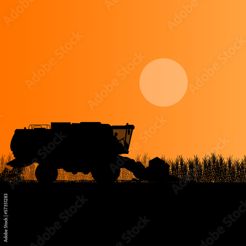 Agricultural combine harvester in grain field seasonal farming l