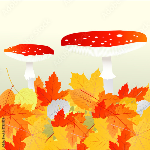 Mushrooms and leaves vector autumn background
