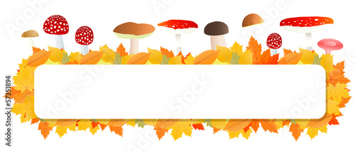 Mushrooms and leaves vector autumn background