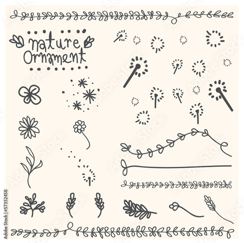 hand-draw floral ornament