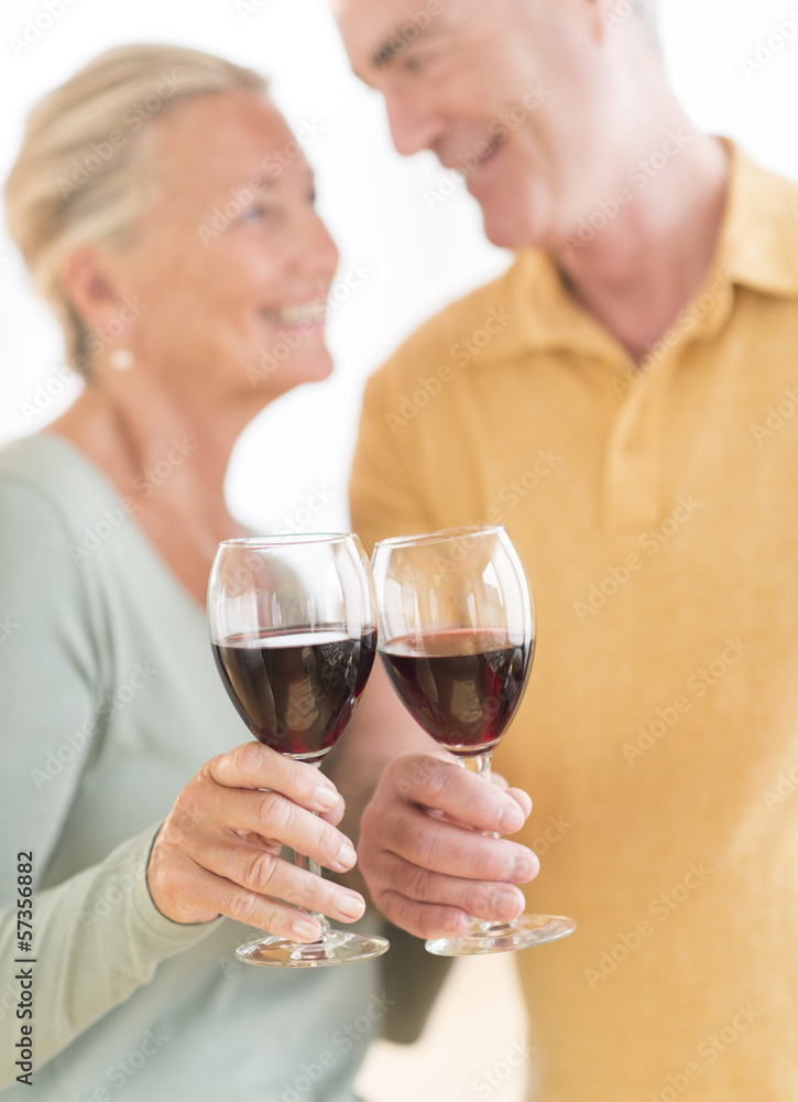 Happy Couple Toasting Wineglasses Happy Couple Toasting Wineglasses