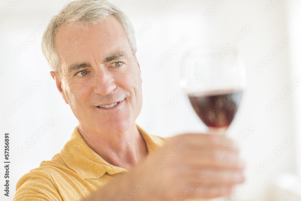 Man Toasting Red Wineglass At Home Man Toasting Red Wineglass At Home