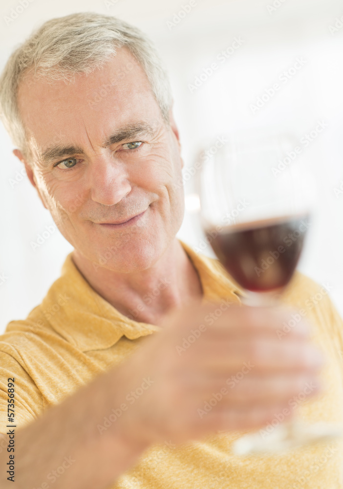 Man Toasting Wineglass At Home Man Toasting Wineglass At Home