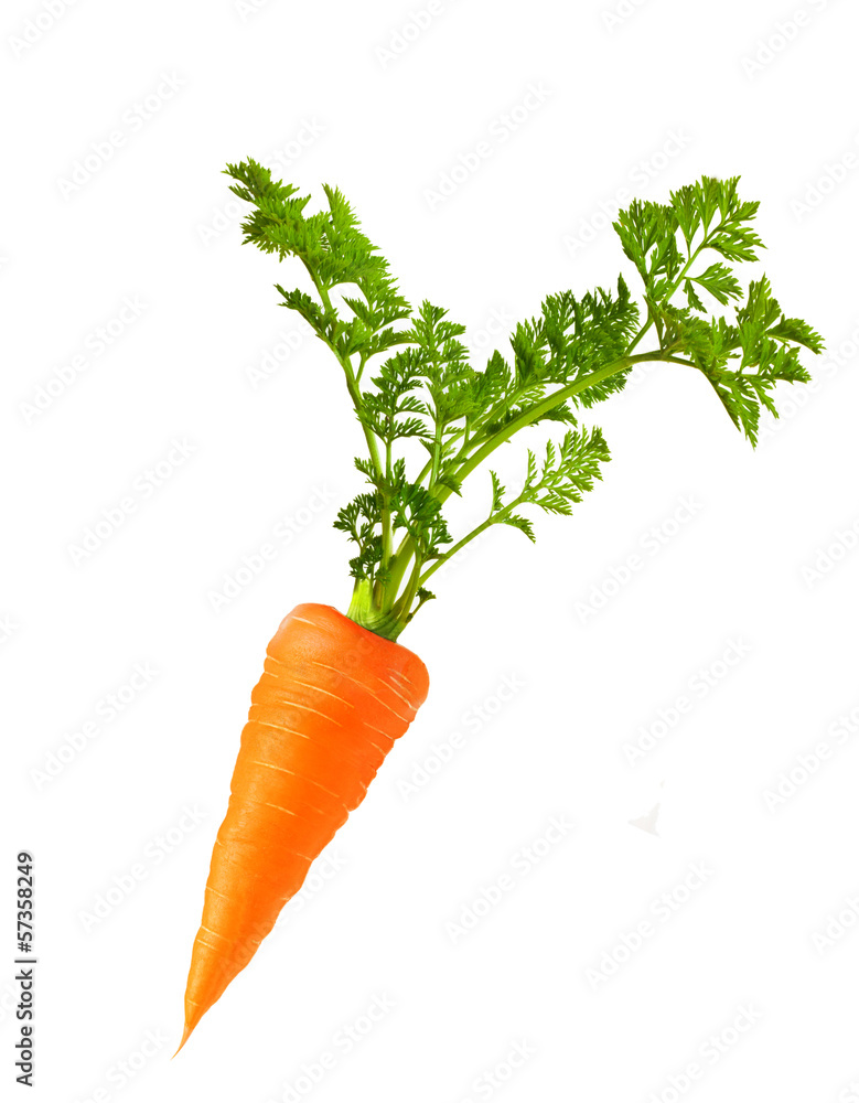 Carrot isolated on white background Carrot isolated on white background