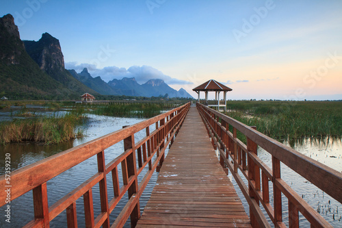 Wooden Bridge in lotus lake at khao samroiyod national park  tha