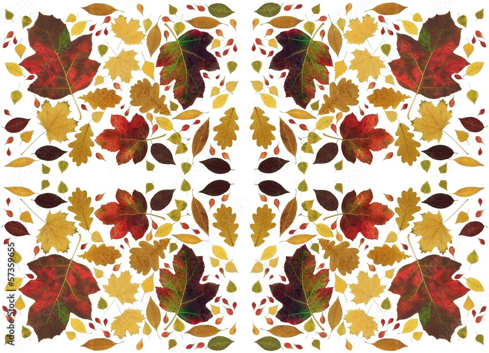 Obraz premium arrangement of floral multicolor background