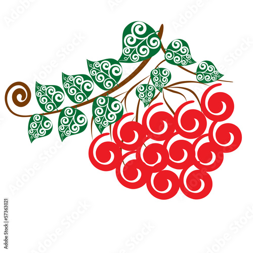 Red rowan