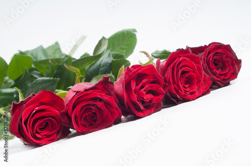 Beautiful red roses arranged in a row