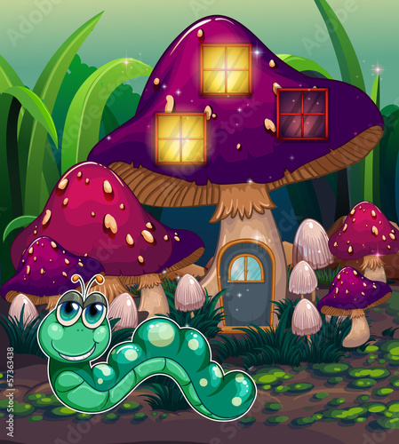 A worm near the mushroom house