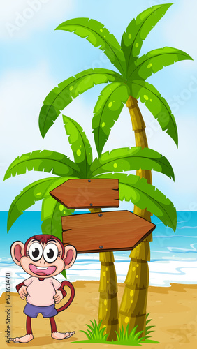 A beach with a monkey near the arrow signages