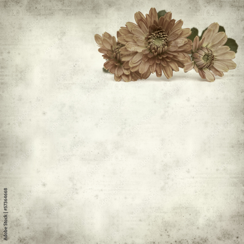 textured old paper background textured old paper background