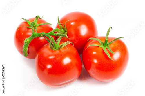 Closeup of tomatoes on the vine isolated on white. Tomato branch