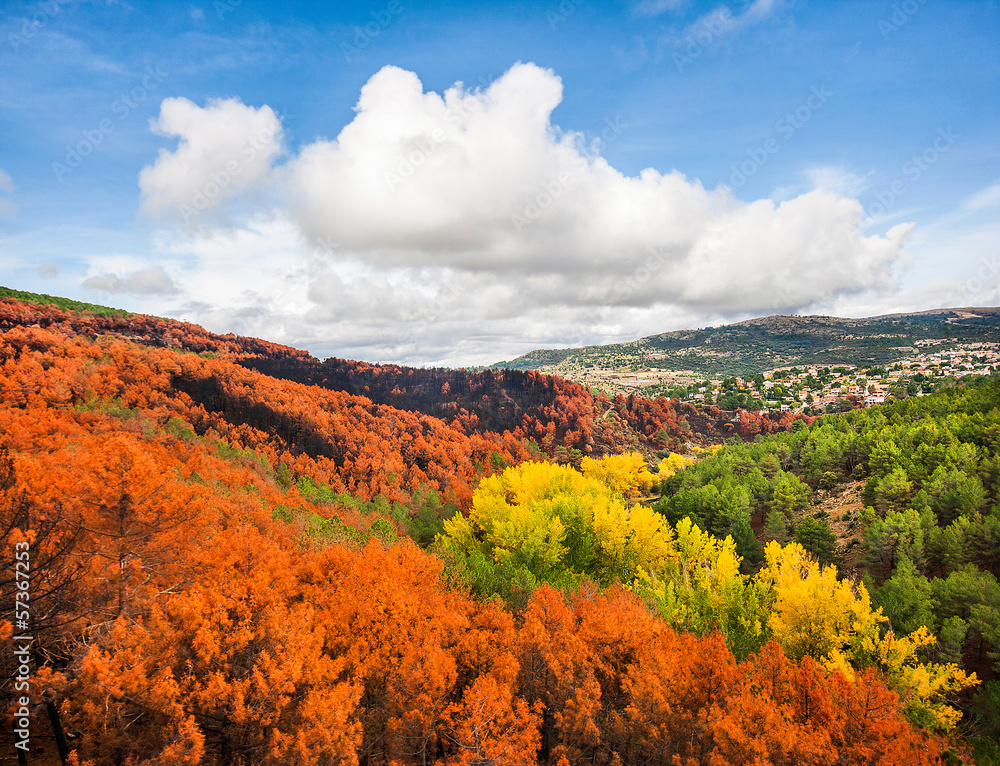 Obraz premium Beautiful autumn landscape in Castilla y Leon, Spain