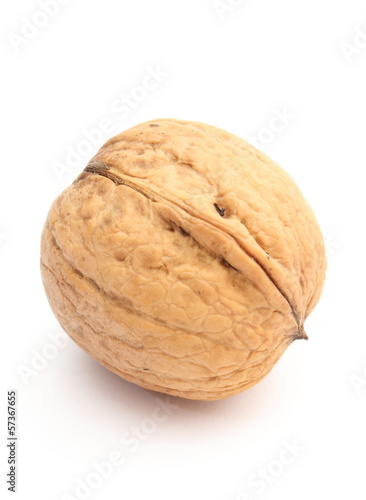 Brown and fresh walnut on white background