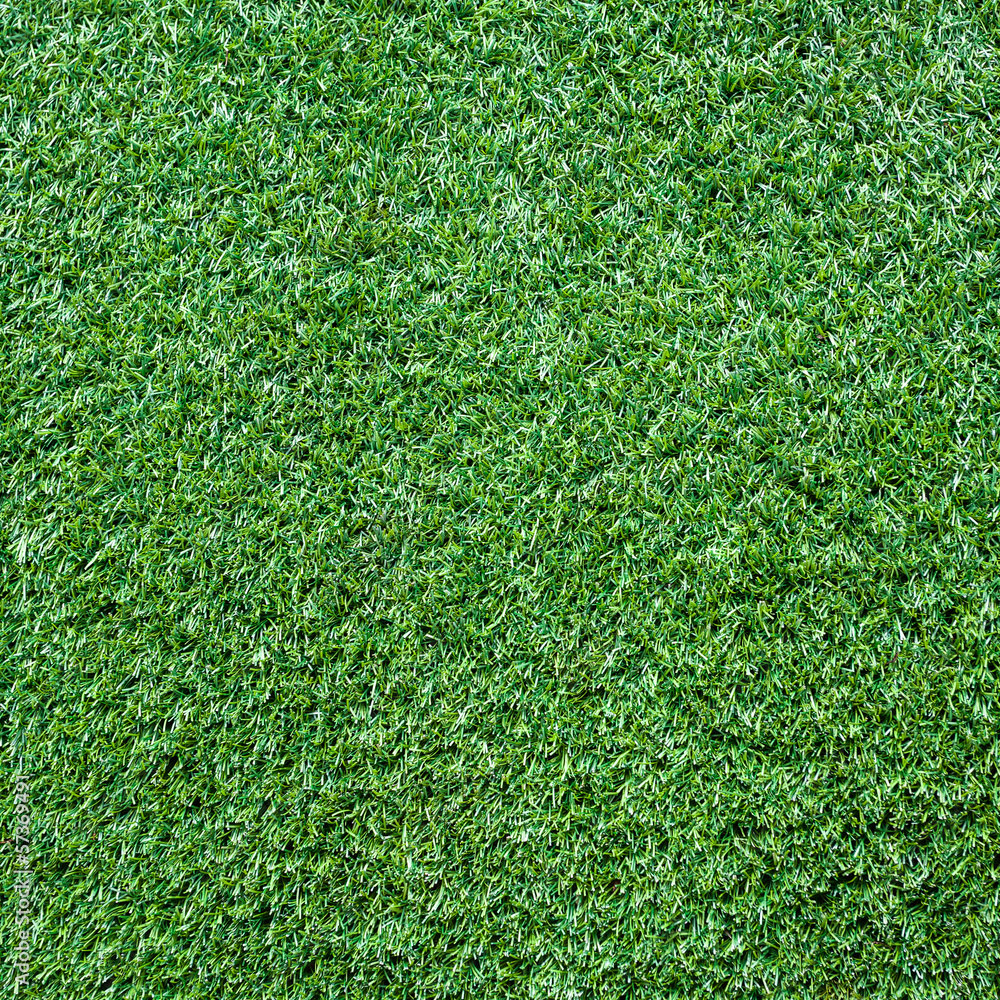 Fototapeta premium Turf Grass Texture and surface