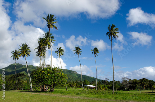 Landscape of Rarotonga Cook Islands