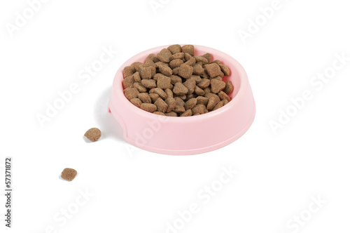 Dog's food in the pink bowl