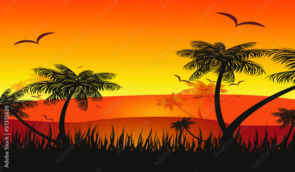 summer holiday tropical sunset