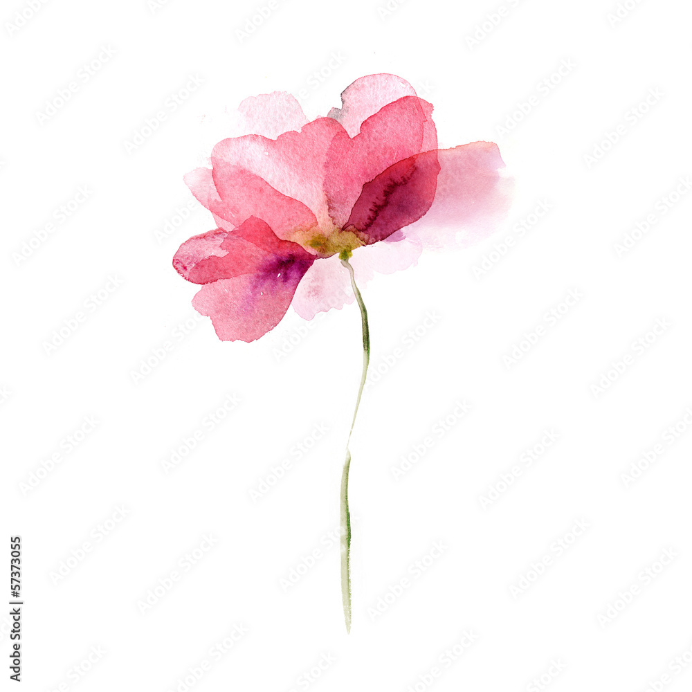 Fototapeta premium Akwarela kwiat