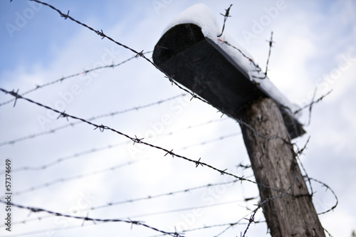 Barbed wire, remains of iron curtain in winter with snow