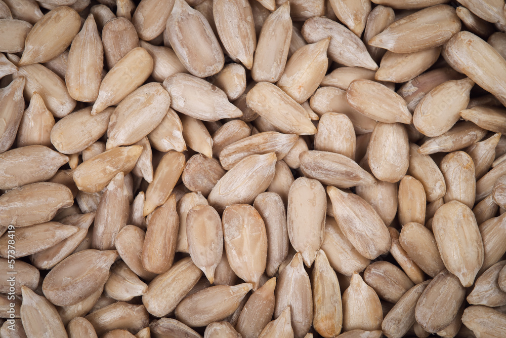 Top view of peeled sunflower seeds - background Top view of peeled sunflower seeds - background