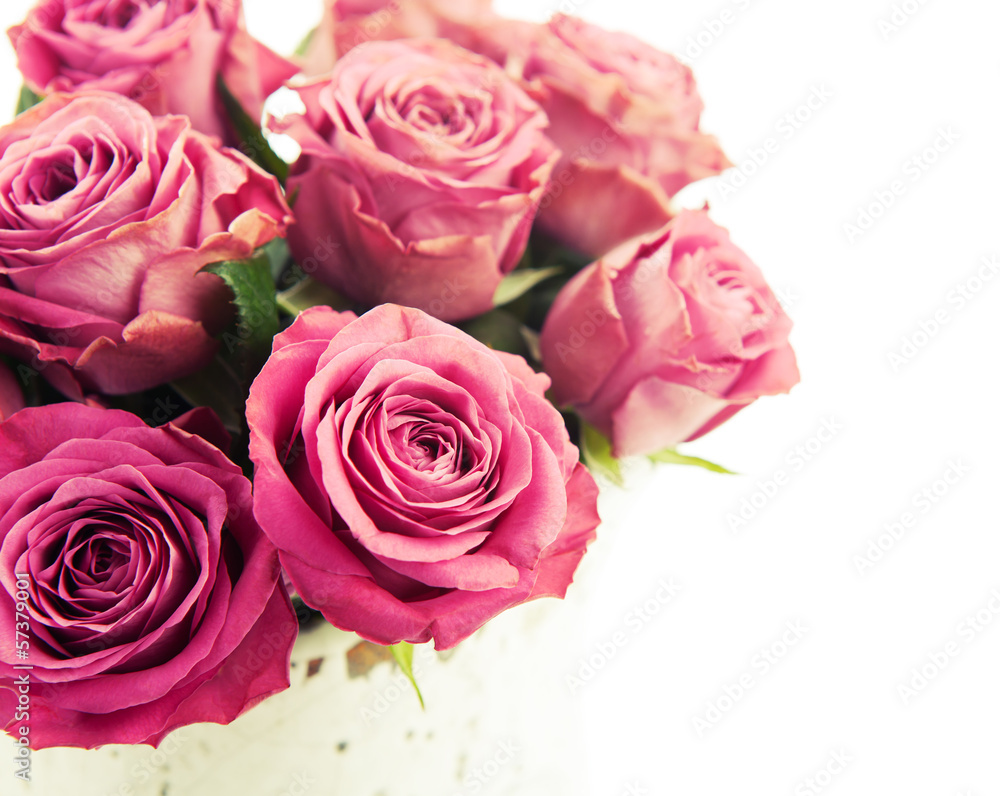 Bouquet of beautiful pink roses on white background. Bouquet of beautiful pink roses on white background.