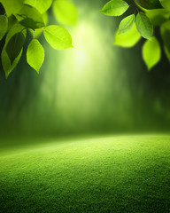 Spring forest  background