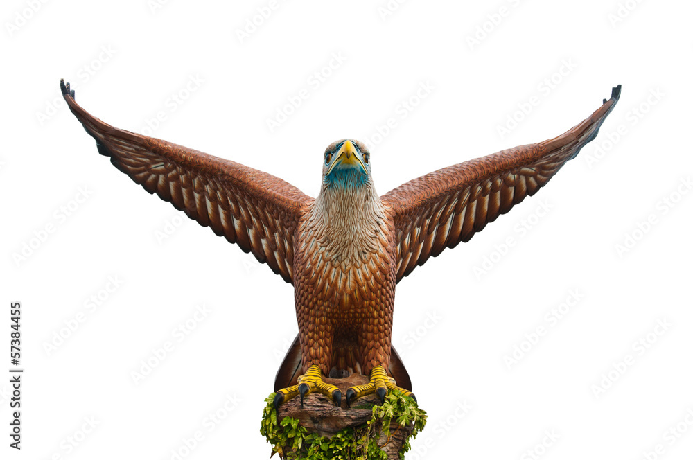Naklejka premium The status of eagle in Langawi