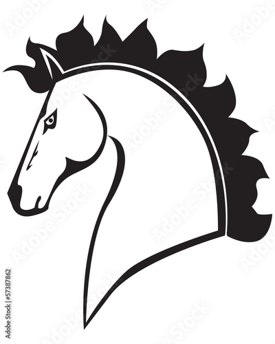 Horses muzzle