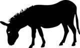 Silhouette of Donkey