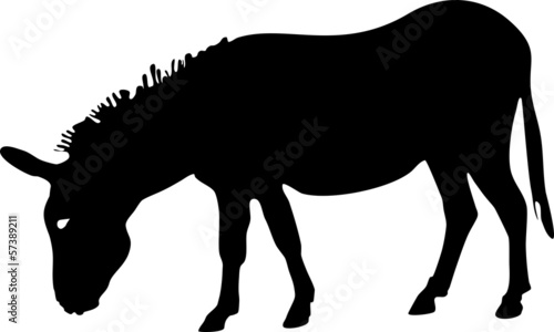 Silhouette of Donkey