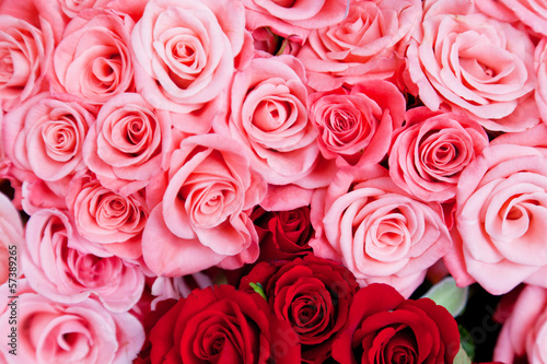 Pink and red roses as a background for design