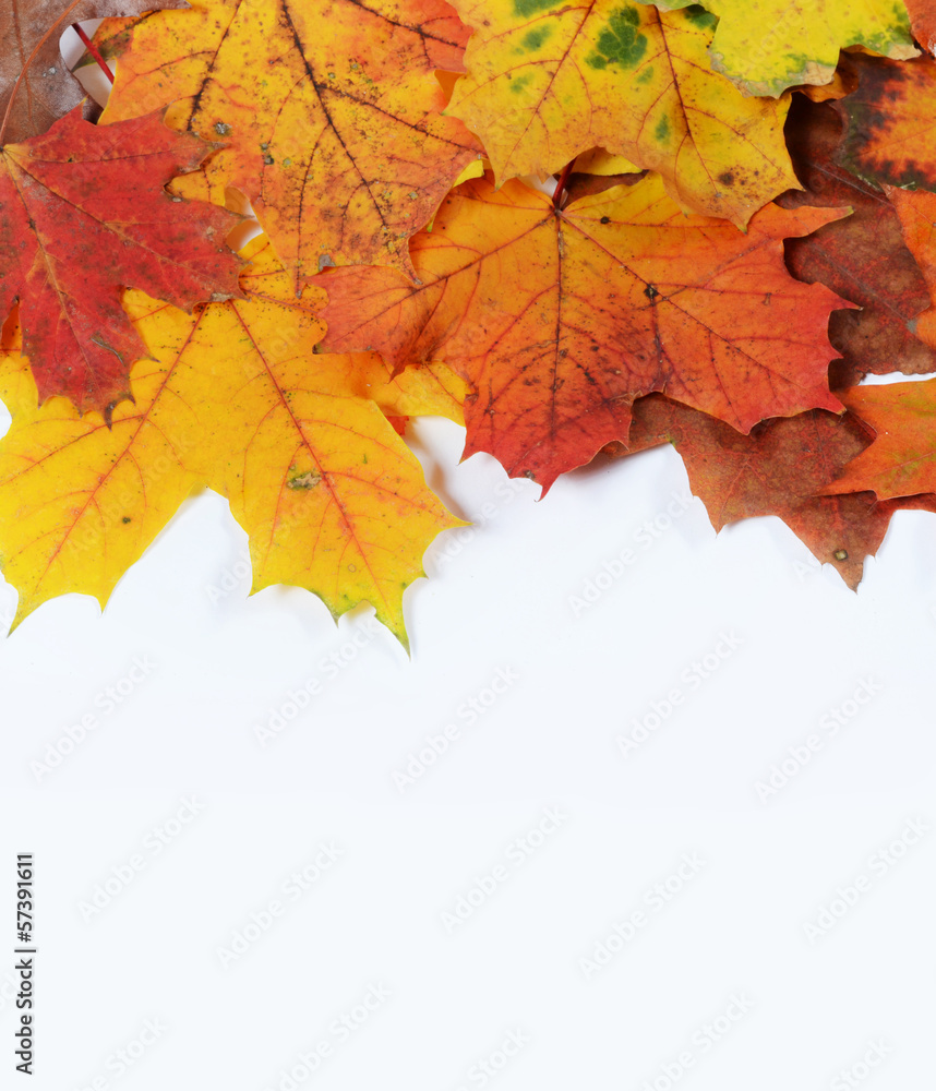 autumn leaves with space for your text