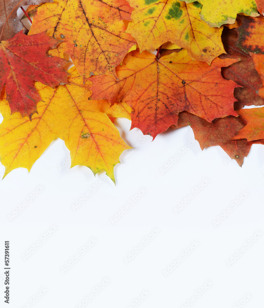 autumn leaves with space for your text autumn leaves with space for your text