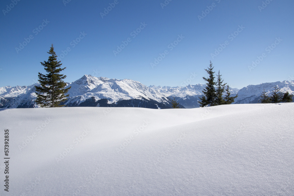 Fototapeta premium Winterlandschaft