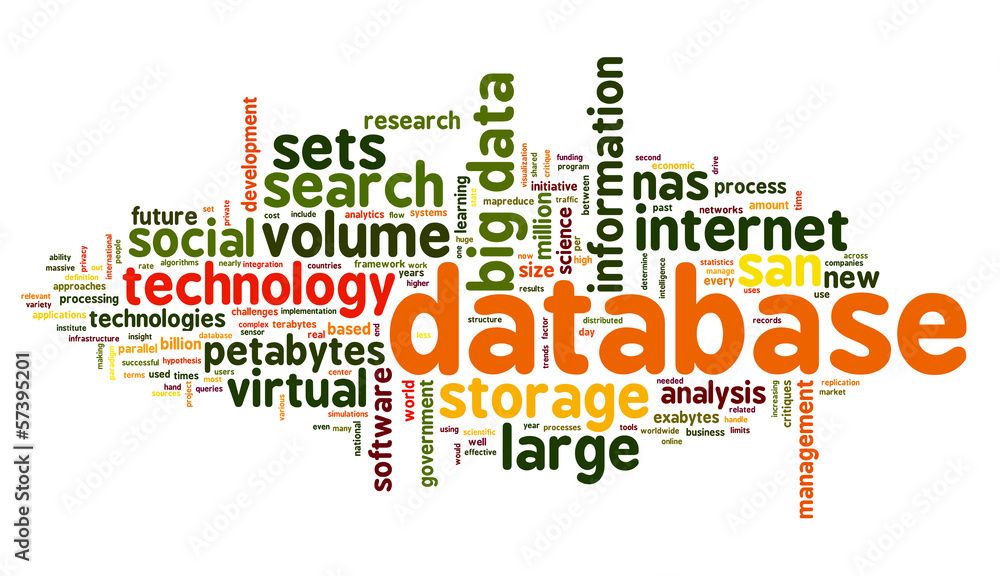 Obraz premium Database concept in word cloud