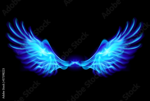 Blue fire wings.