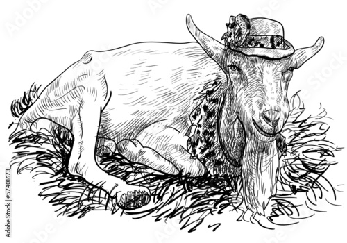 The goat on haystack
