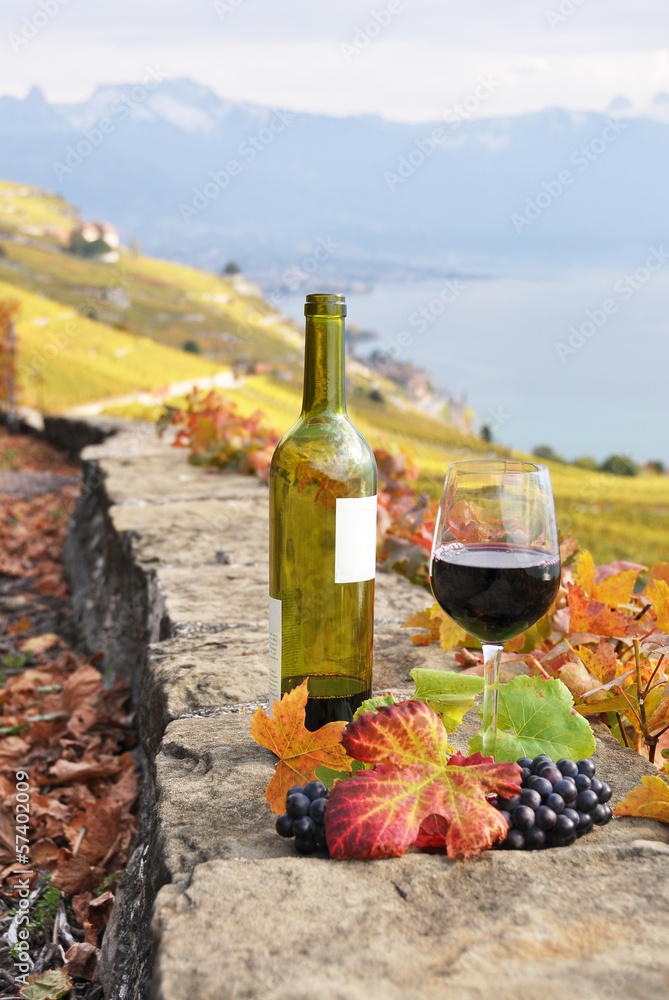 Red wine and grapes. Terrace vineyards in Lavaux region, Switzer