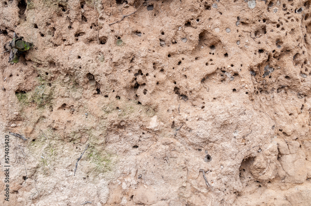 The texture of the sand with the insect burrows